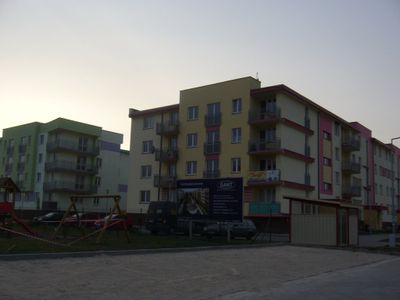 fot. Orzech