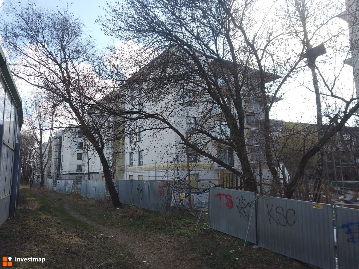 Zdjęcie Akacjowa Wita fot. Damian Daraż 