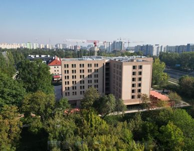 fot. Orzech