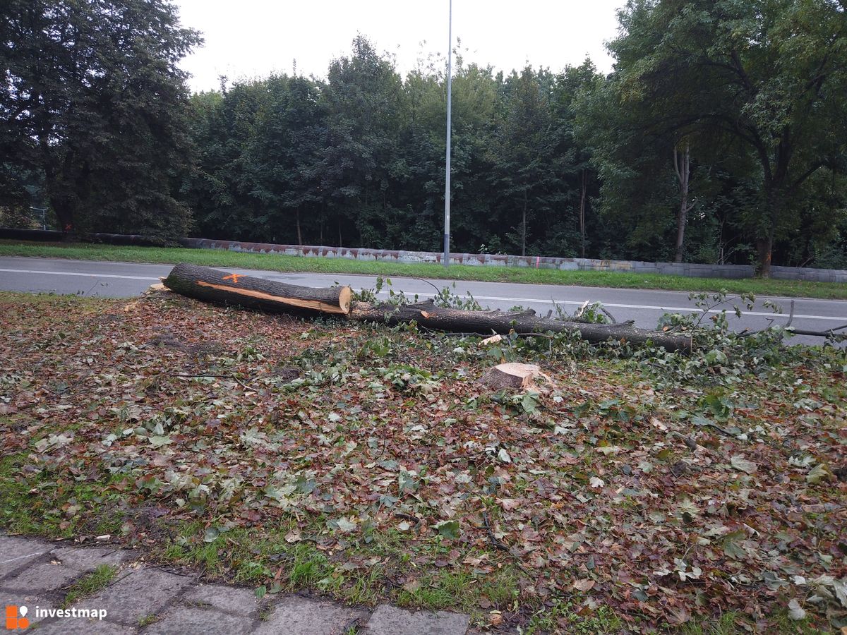 Zdjęcie Ulica Kocmyrzowska fot. Damian Daraż 
