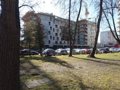 fot. Damian Daraż