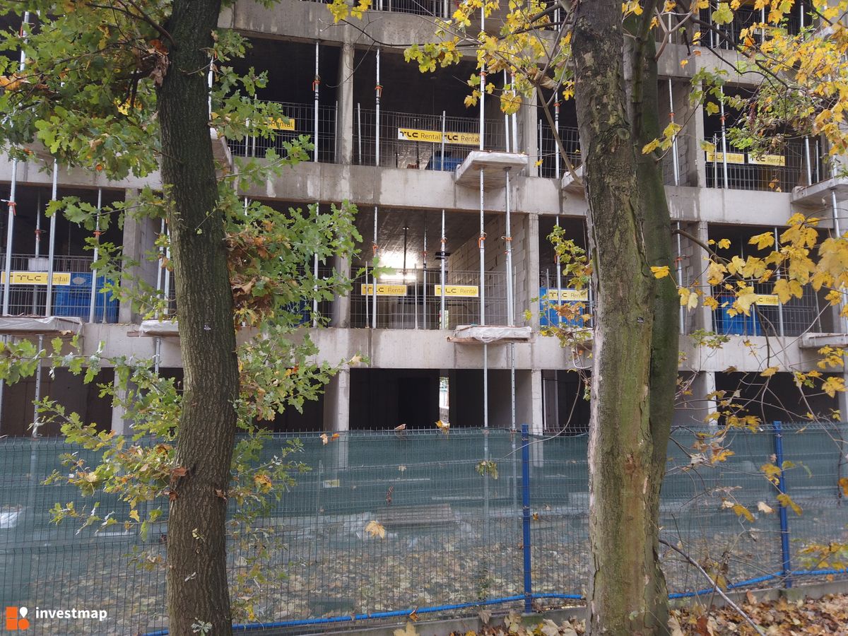 Zdjęcie Al. Pokoju 64 fot. Damian Daraż 