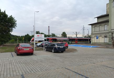 fot. Orzech