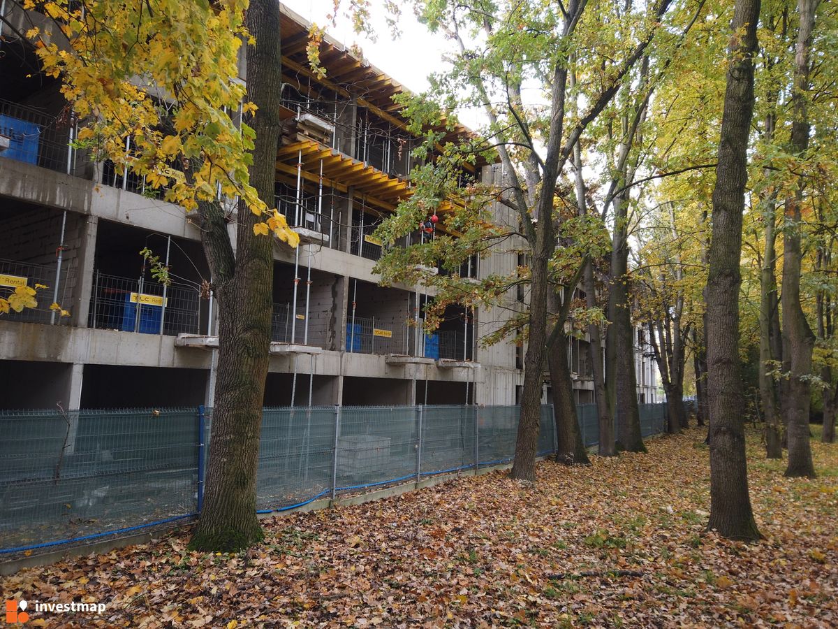 Zdjęcie Al. Pokoju 64 fot. Damian Daraż 