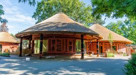 We wrocławskim ZOO powstała Nowa Lwiarnia [ZDJĘCIA]