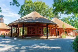 We wrocławskim ZOO powstała Nowa Lwiarnia [ZDJĘCIA]