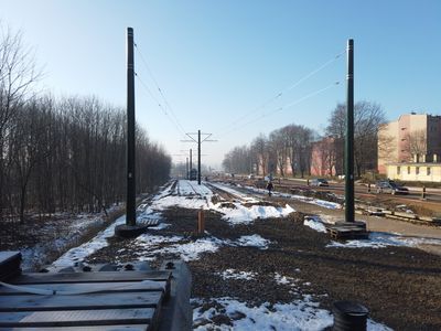 fot. Damian Daraż