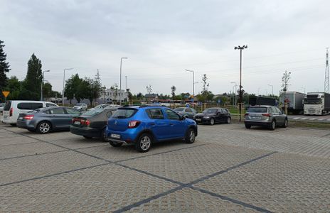 fot. Orzech