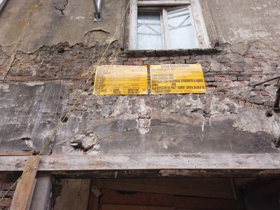 fot. Damian Daraż