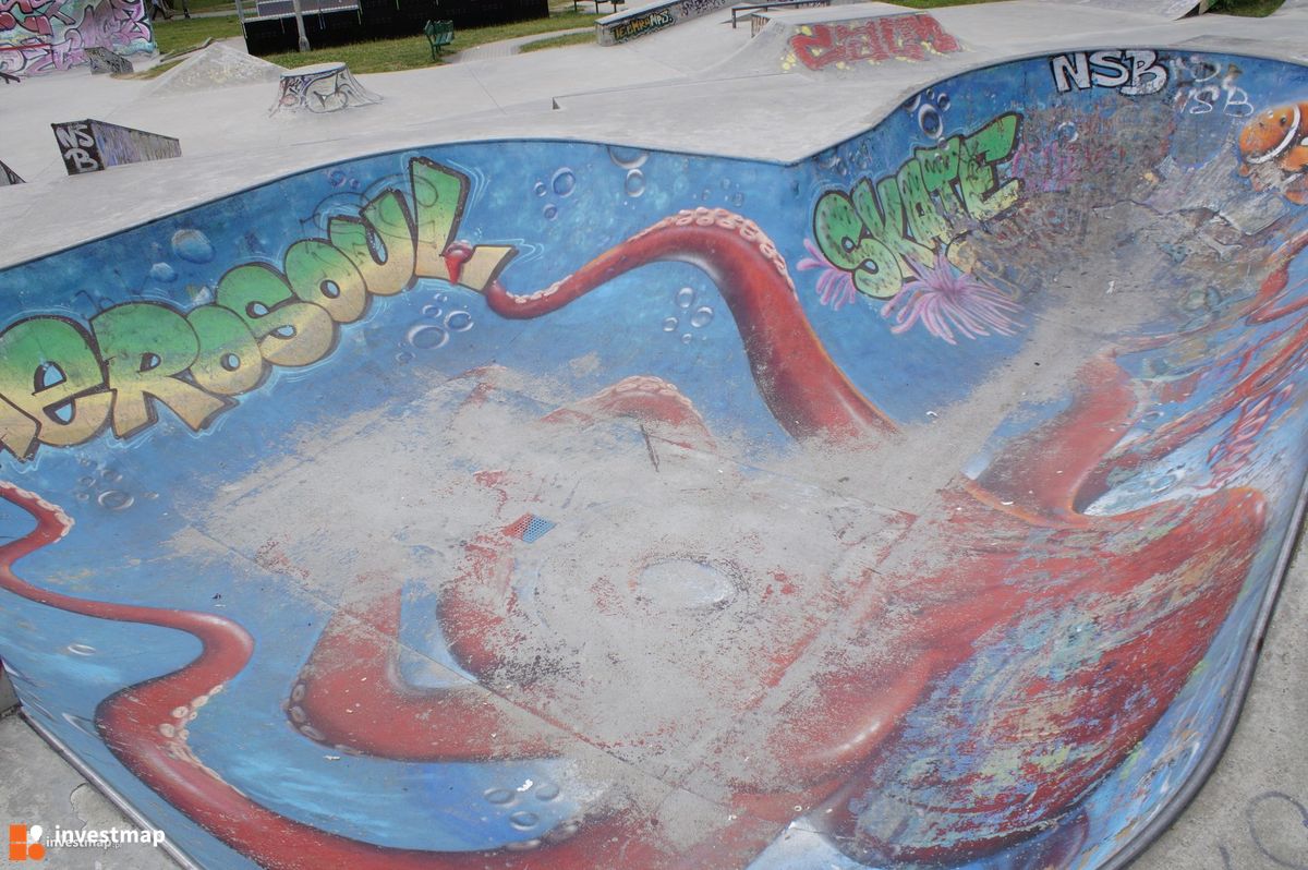 Zdjęcie Skatepark Mistrzejowice fot. Damian Daraż 