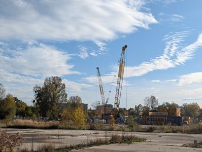 fot. Jan  Augustynowski