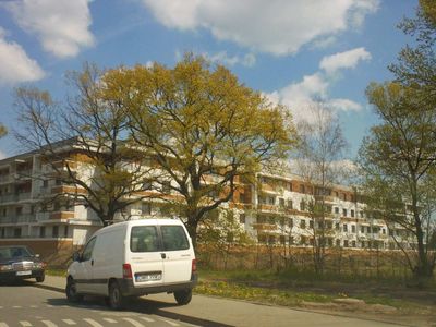 fot. Orzech