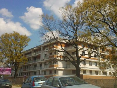 fot. Orzech