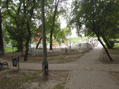 fot. Damian Daraż