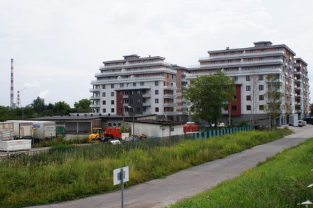fot. Damian Daraż