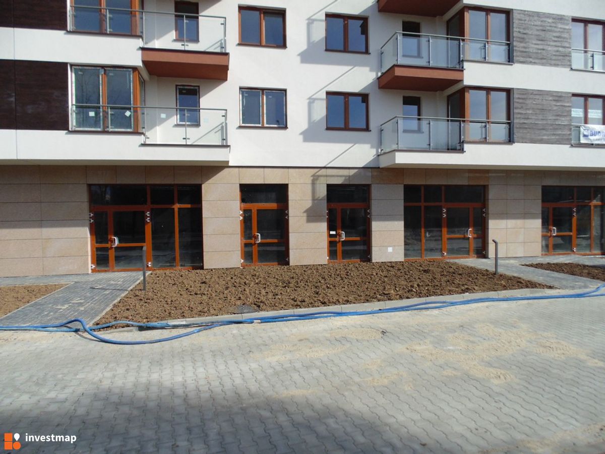 Zdjęcie Cystersów 26 fot. Damian Daraż 