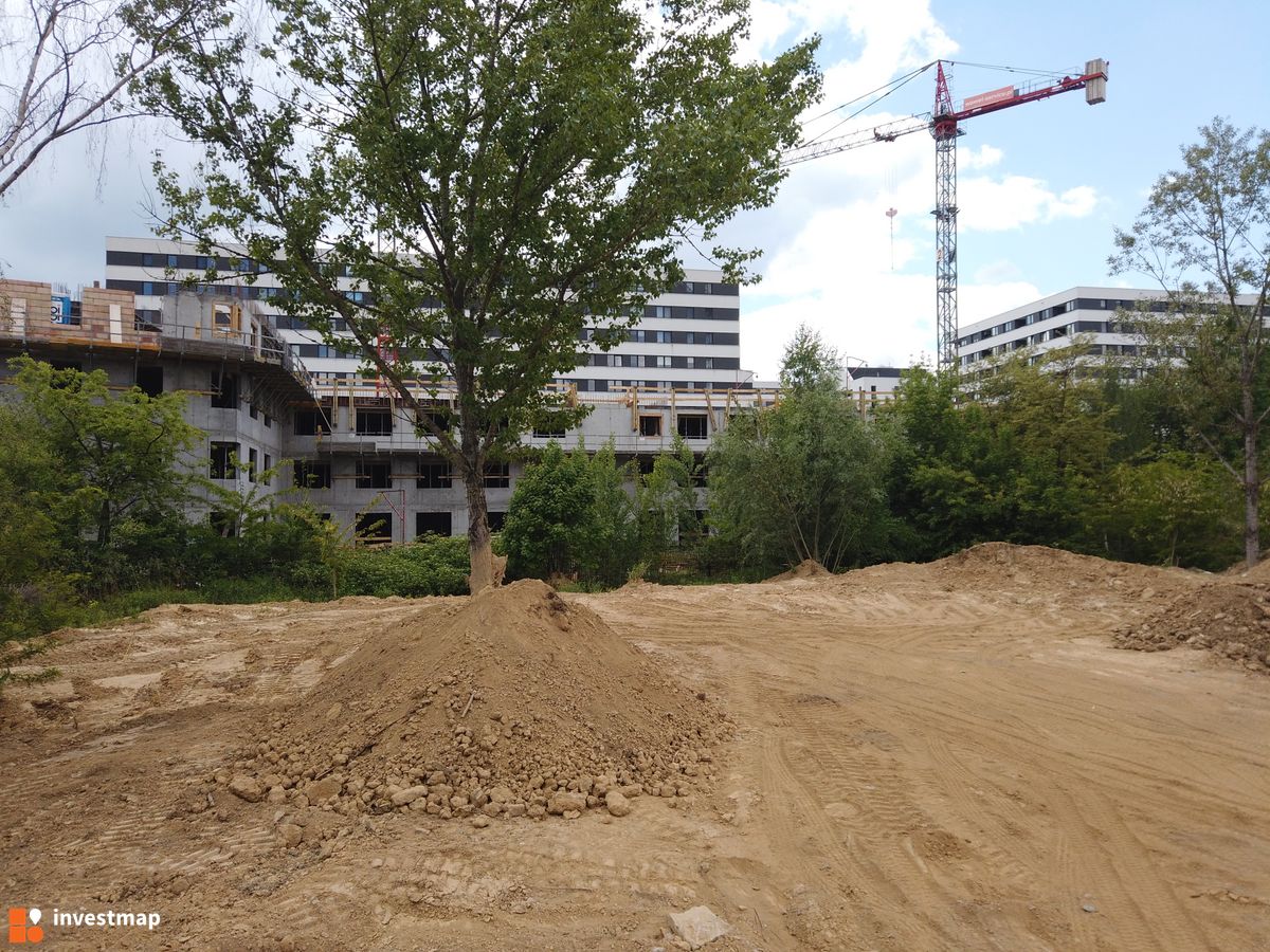 Zdjęcie Piasta Park fot. Damian Daraż 