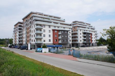 fot. Damian Daraż