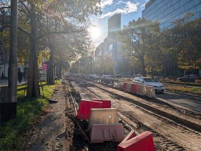 fot. Jan  Augustynowski