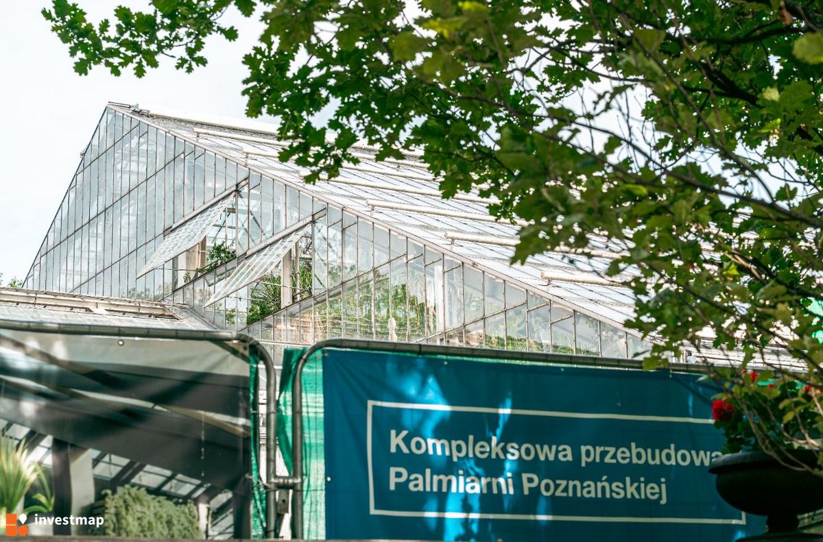 Zdjęcie Palmiarnia Poznańska fot. Orzech 