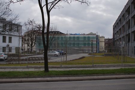 fot. Damian Daraż