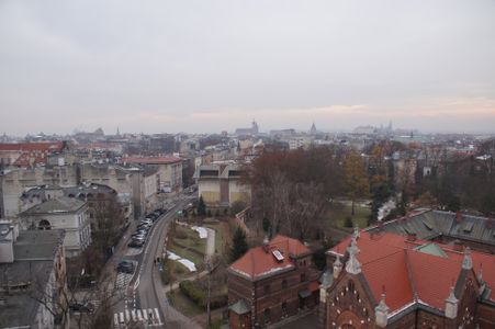 fot. Damian Daraż
