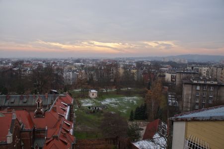 fot. Damian Daraż