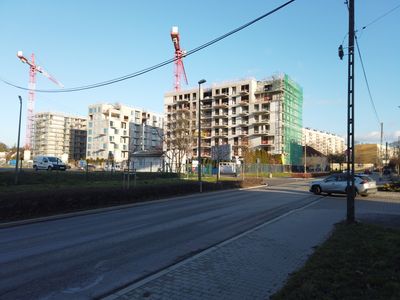 fot. Damian Daraż