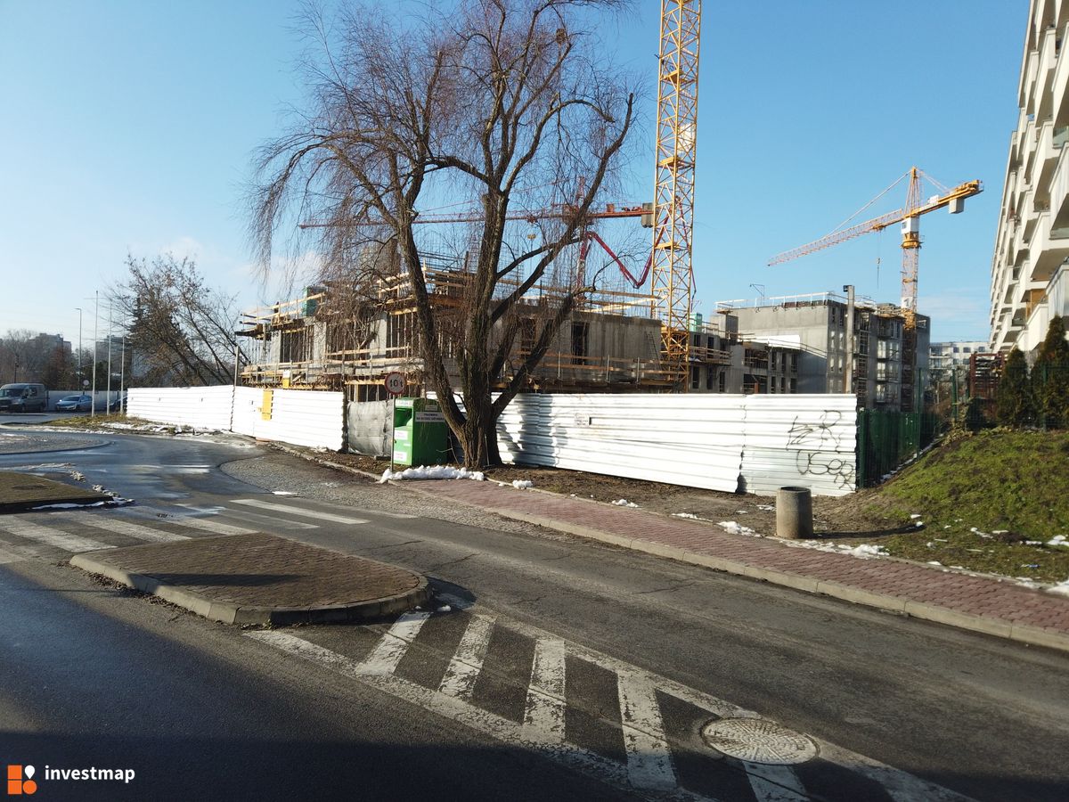 Zdjęcie Dąbska Pools fot. Damian Daraż 
