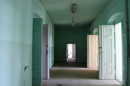 fot. Orzech