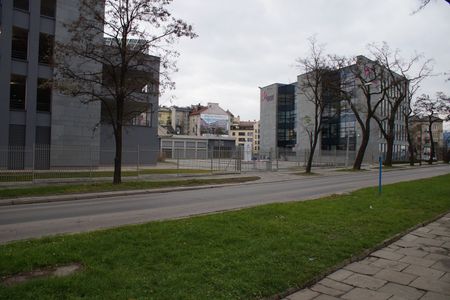 fot. Damian Daraż