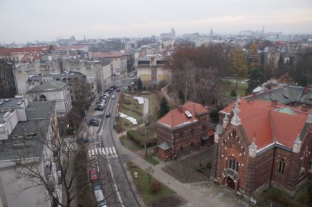 fot. Damian Daraż