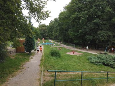 fot. Damian Daraż