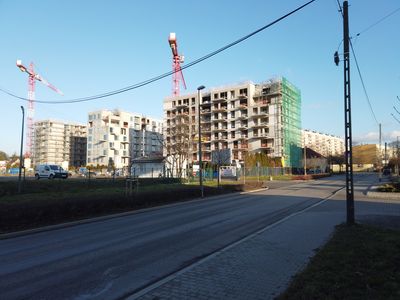 fot. Damian Daraż