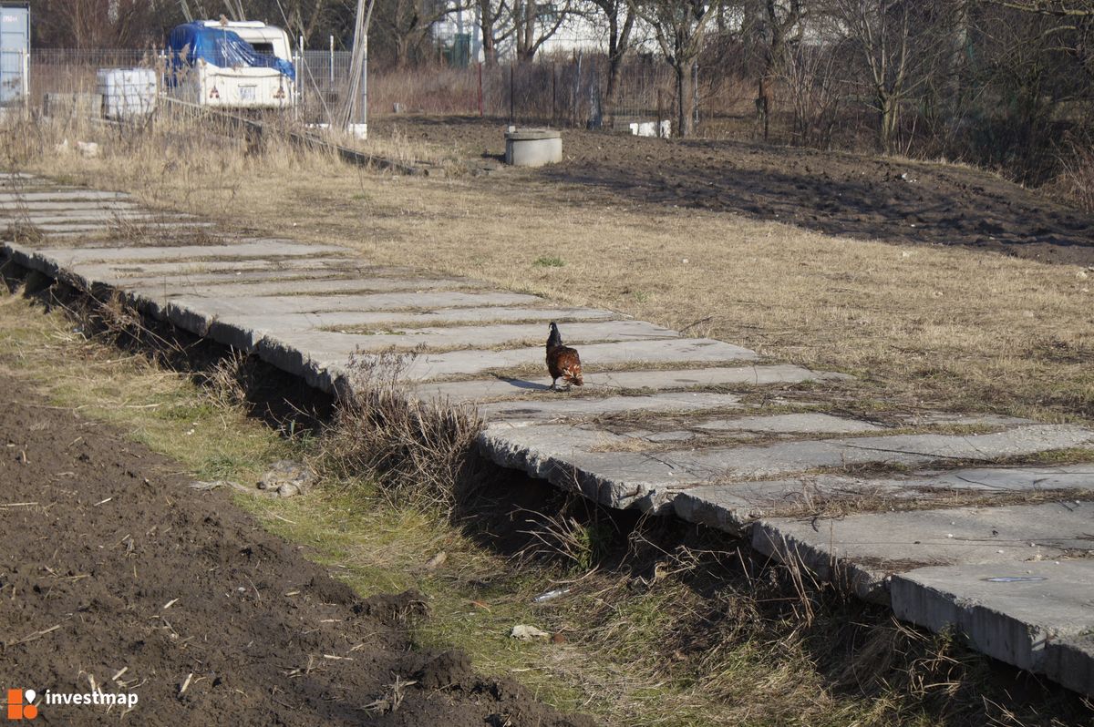 Zdjęcie [Kraków] Myśliwska Park fot. Damian Daraż 