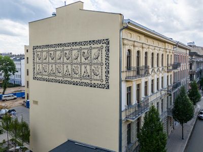 fot. Orzech