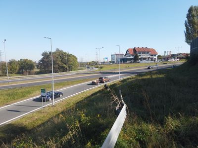 fot. Damian Daraż