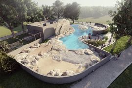 Nowy dom dla pingwinów w Warszawskim ZOO [WIZUALIZACJE]