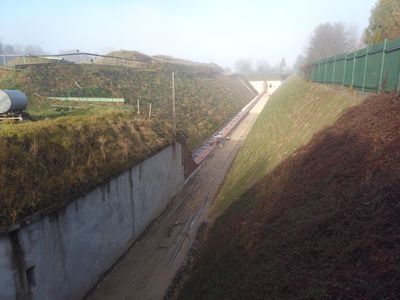 fot. Damian Daraż
