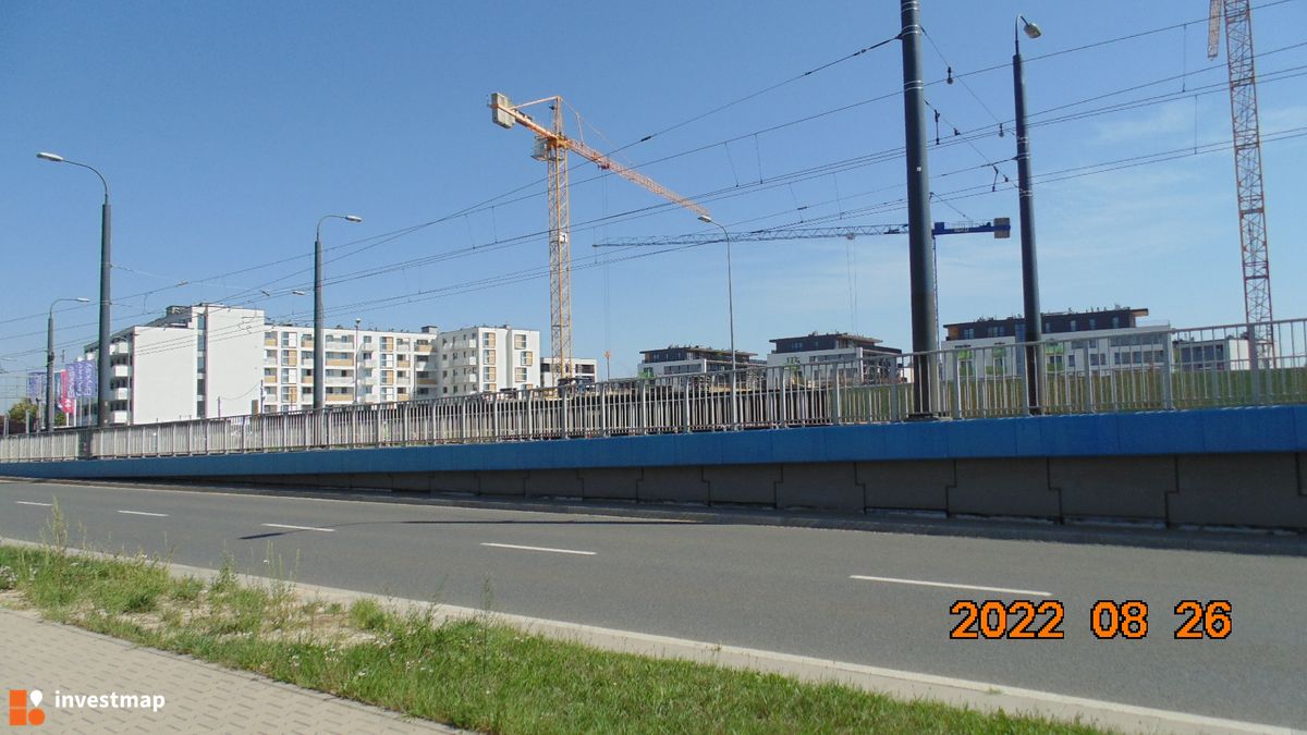 Zdjęcie Saska Blu fot. Damian Daraż 