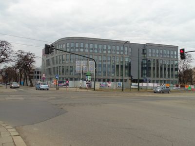fot. Damian Daraż