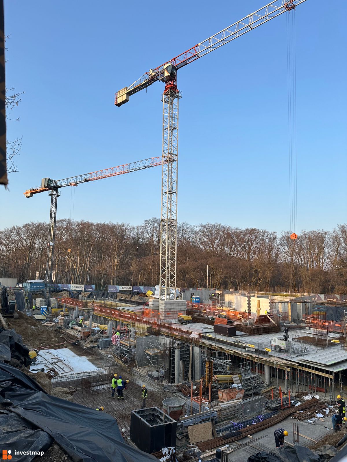 Zdjęcie Kopernika 71 fot. Patryk Nocek 