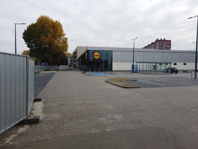 fot. Damian Daraż