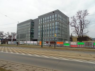 fot. Damian Daraż