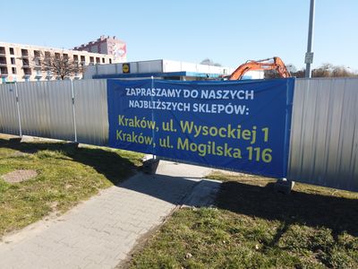 fot. Damian Daraż