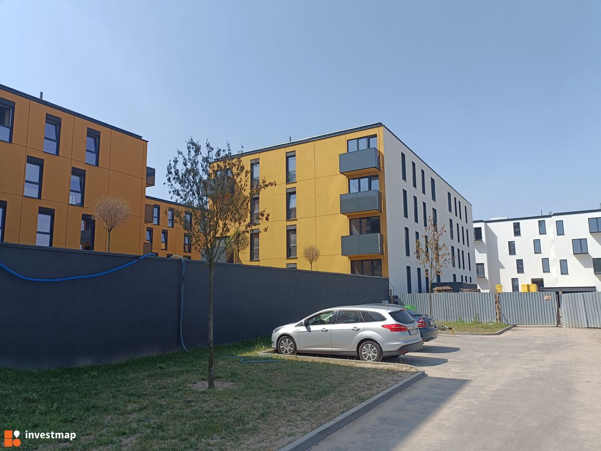 Zdjęcie Geometryczna fot. mickam 