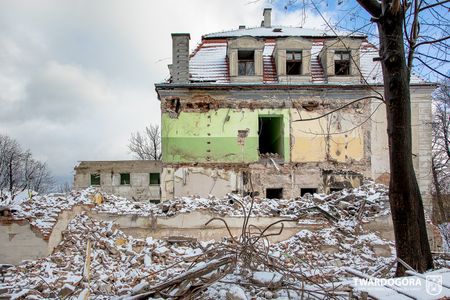 fot. Orzech
