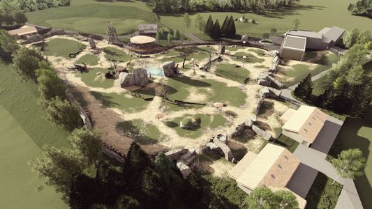 Powstanie nowy wybieg afrykański w warszawskim ZOO [WIZUALIZACJE]