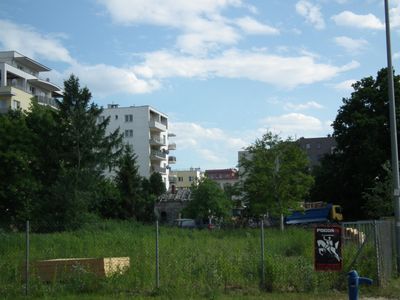 fot. Pajakus