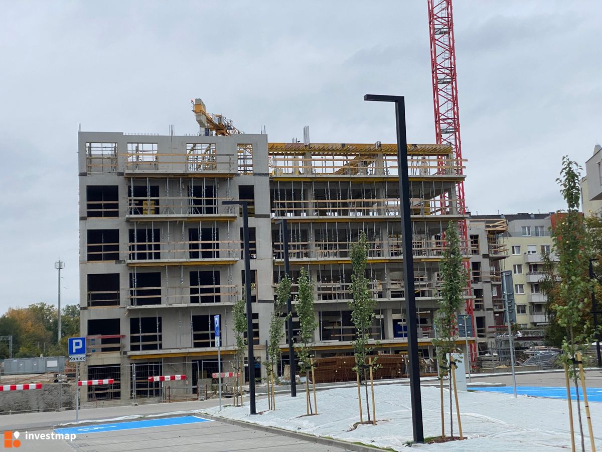 Zdjęcie Stalova fot. eszha95 